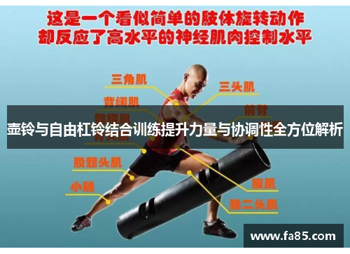 壶铃与自由杠铃结合训练提升力量与协调性全方位解析