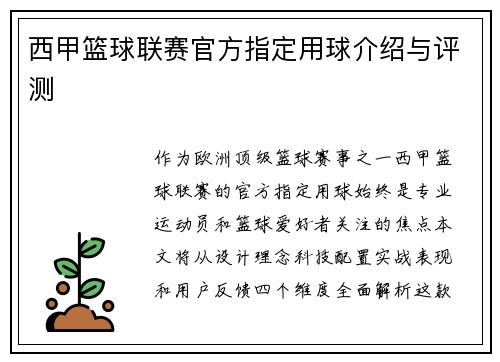 西甲篮球联赛官方指定用球介绍与评测